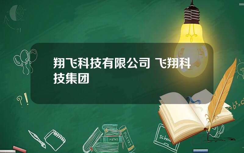 翔飞科技有限公司 飞翔科技集团